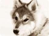 Uploaded on: 11/13/2021 2:38:33 PM